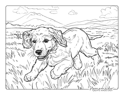 Puppy Coloring Pages Irish Setter Sprinting in Field