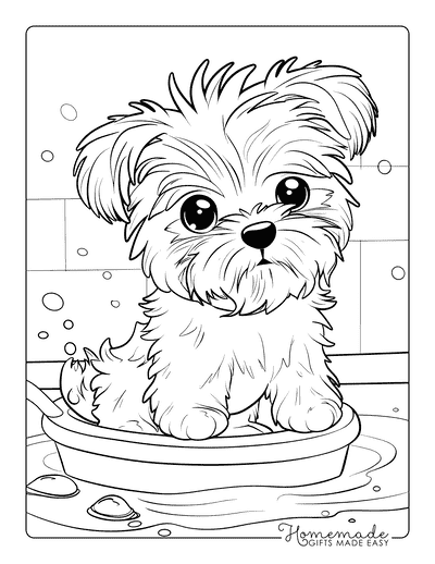 Puppy Coloring Pages Maltese Spa Day