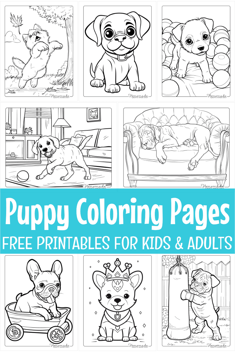 Free Puppy Coloring Pages Printable PDFs