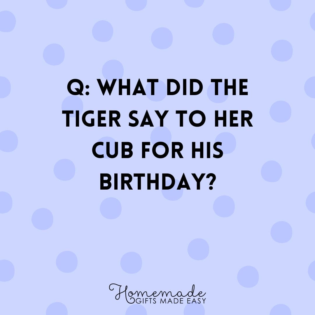 riddles What did the tiger say to her cub for his birthday?