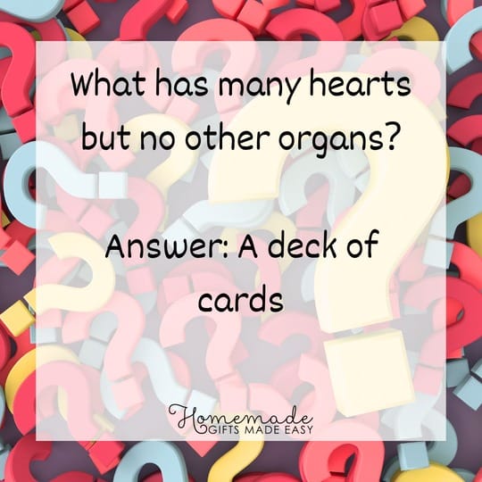 riddles for adults - what has many hearts but no other organs?