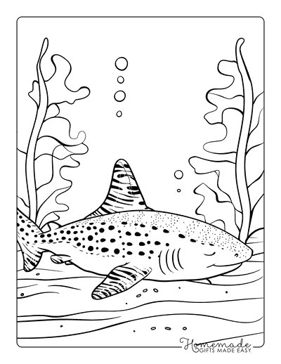 Shark Coloring Pages Kawaii Zebra Shark Resting