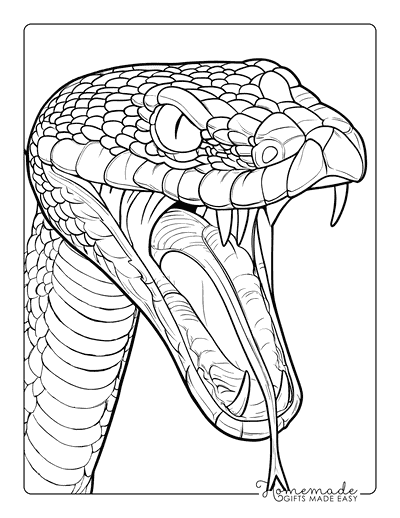 Snake Coloring Pages Realistic Viper Closeup