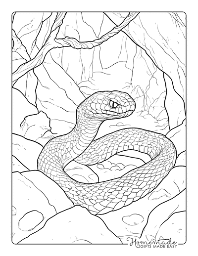 Snake Coloring Pages Realistic Viper in Cave