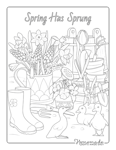 Spring Coloring Pages Detailed Spring Garden With Ducklings for Adults
