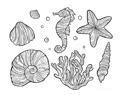 Summer Coloring Pages Sea Shell Doodle for Adults