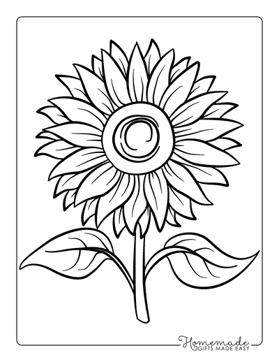 Sunflower Coloring Pages Cute Easy Realistic Sunflower Outline for Adults