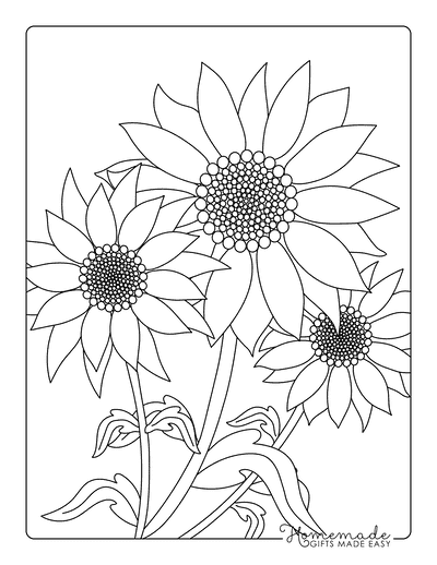 Sunflower Coloring Pages Simple Easy Sunflower Outlines for Adults