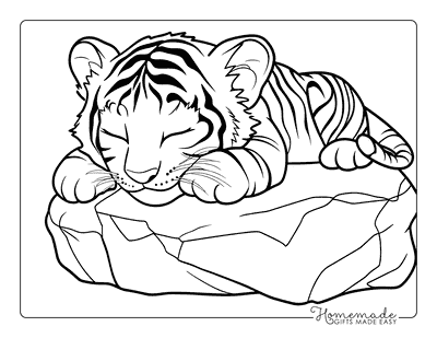 Tiger Coloring Pages Cute Tiger Cub Sleeping on Rock