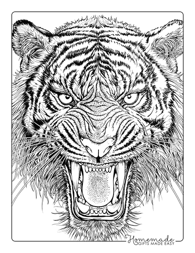 Tiger Coloring Pages Realistic Tiger Head Roaring