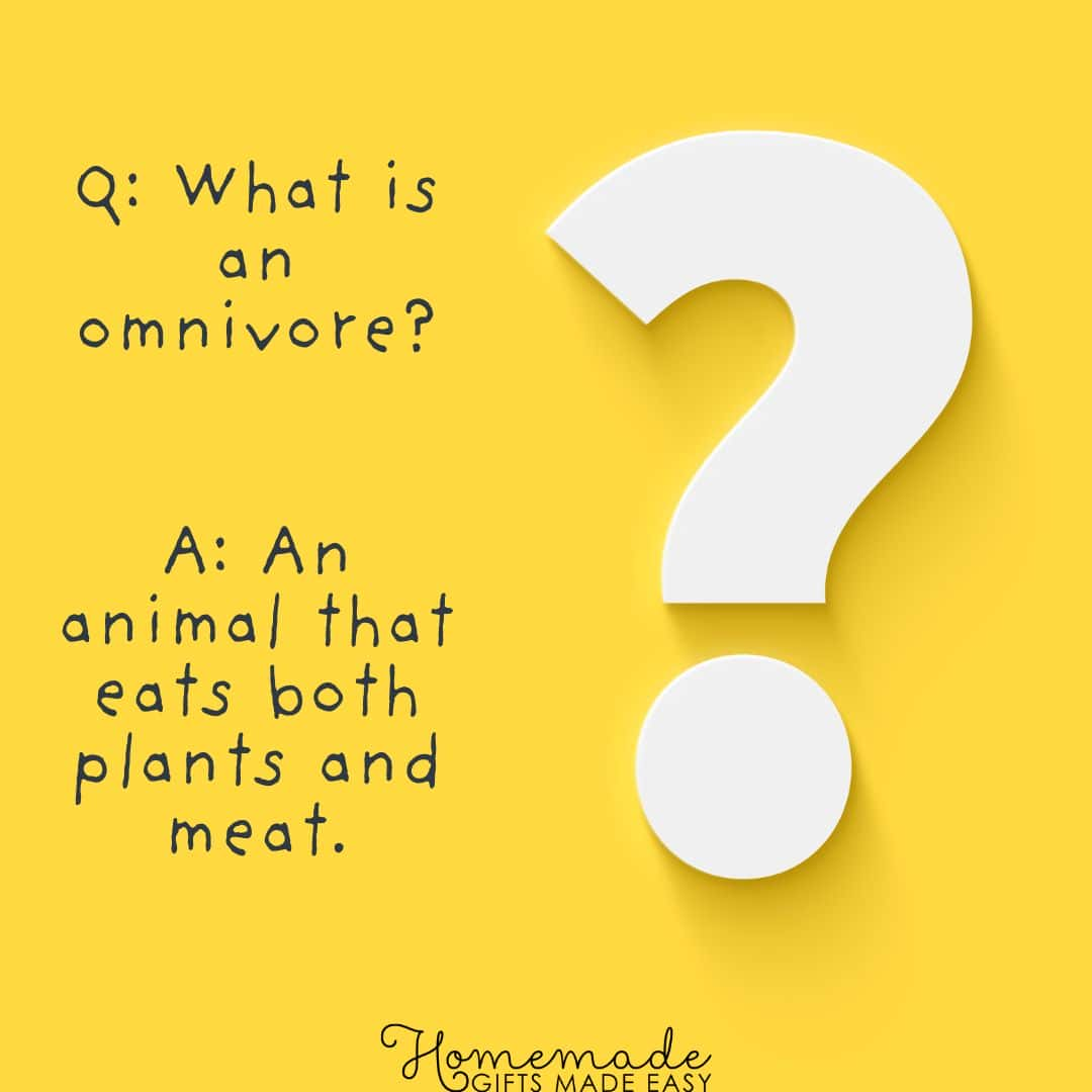 trivia questions for kids what is an omnivore?