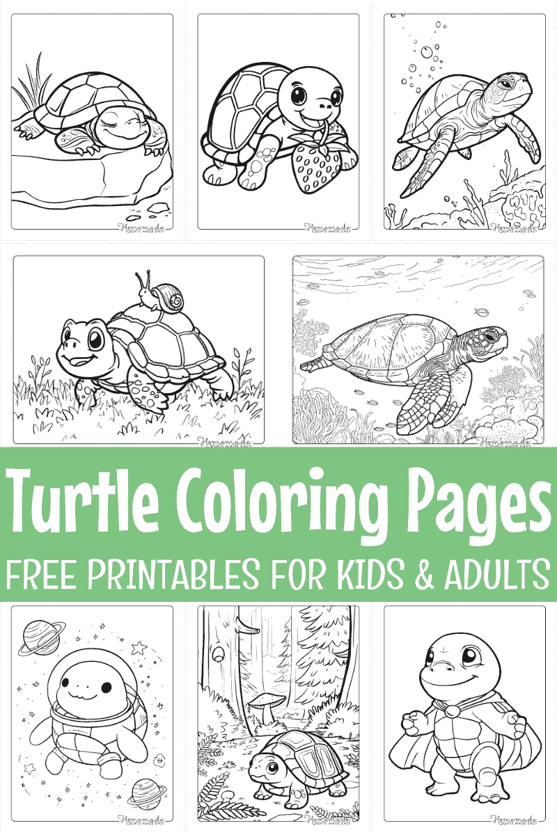 turtle coloring pages