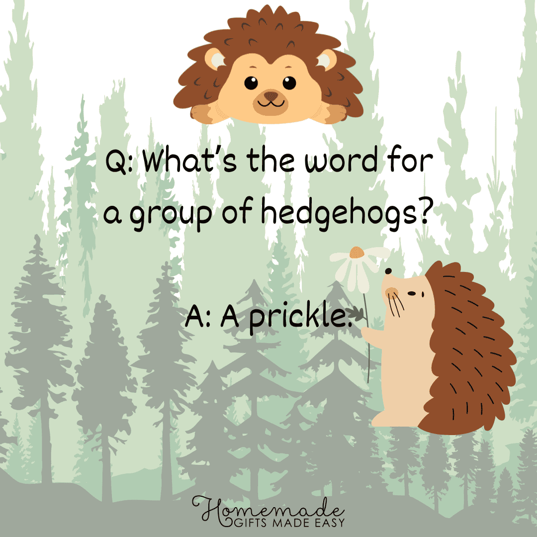 Animal Trivia What's the word for a group of hedgehogs?