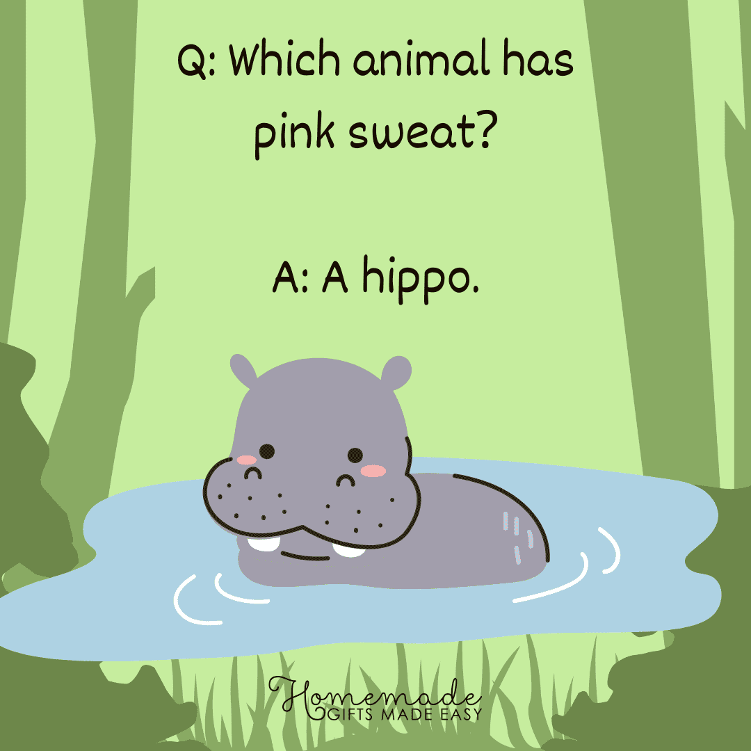 Animal Trivia Which animal has pink sweat?