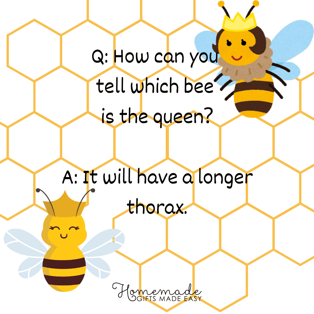 Animal Trivia How can you tell which bee is the queen?