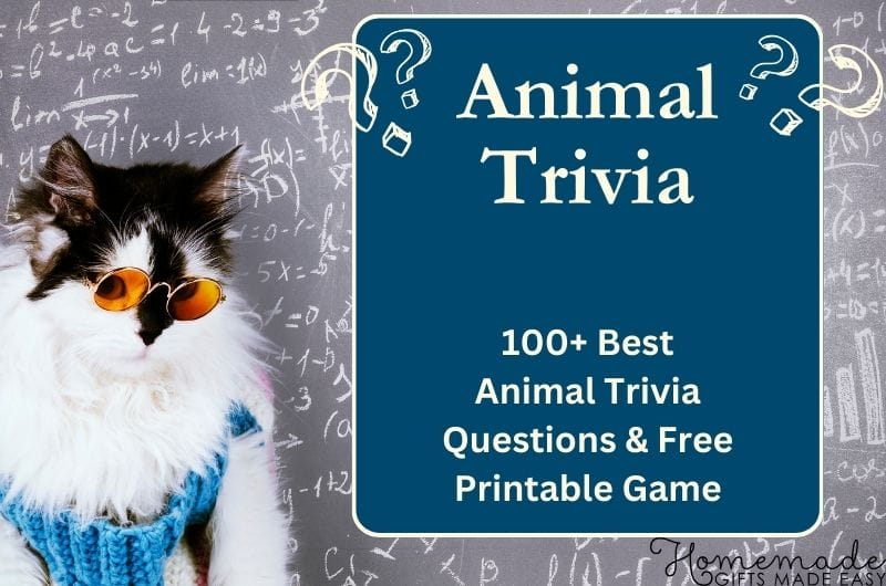 animal trivia questions with answers and free printable game