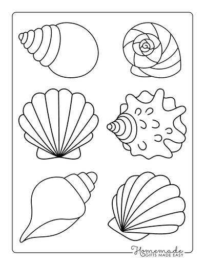 Beach Coloring Pages Simple Easy Seashells for Kids