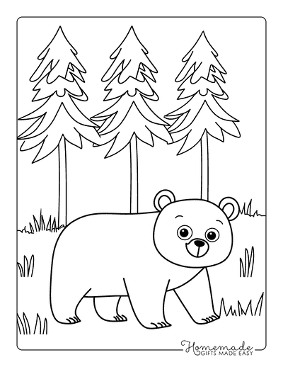 Bear Coloring Pages Cute Easy Brown Bear in Forest