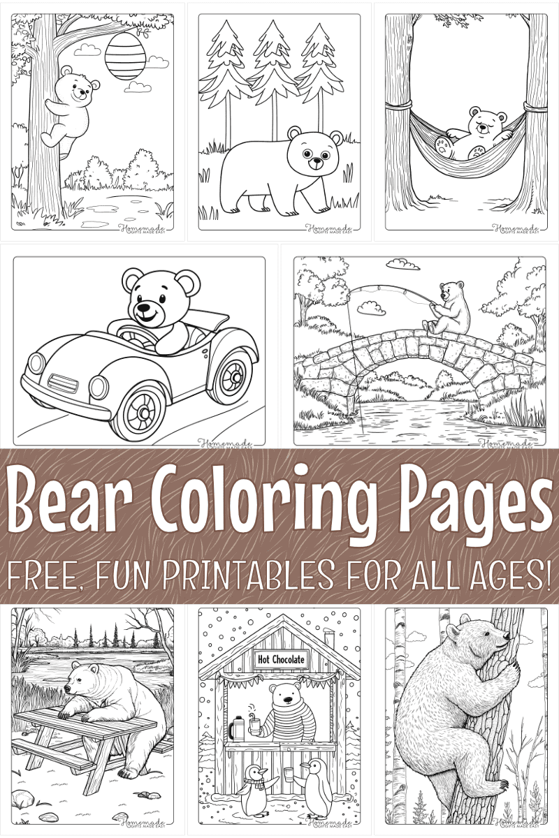 Free Bear Coloring Pages for Kids and Adults