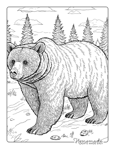 Bear Coloring Pages Realistic Brown Bear in Forest