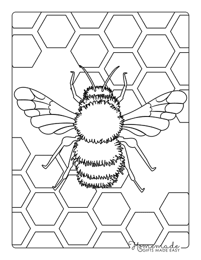 Bee Coloring Pages Easy Realistic Top Down Bee for Adults