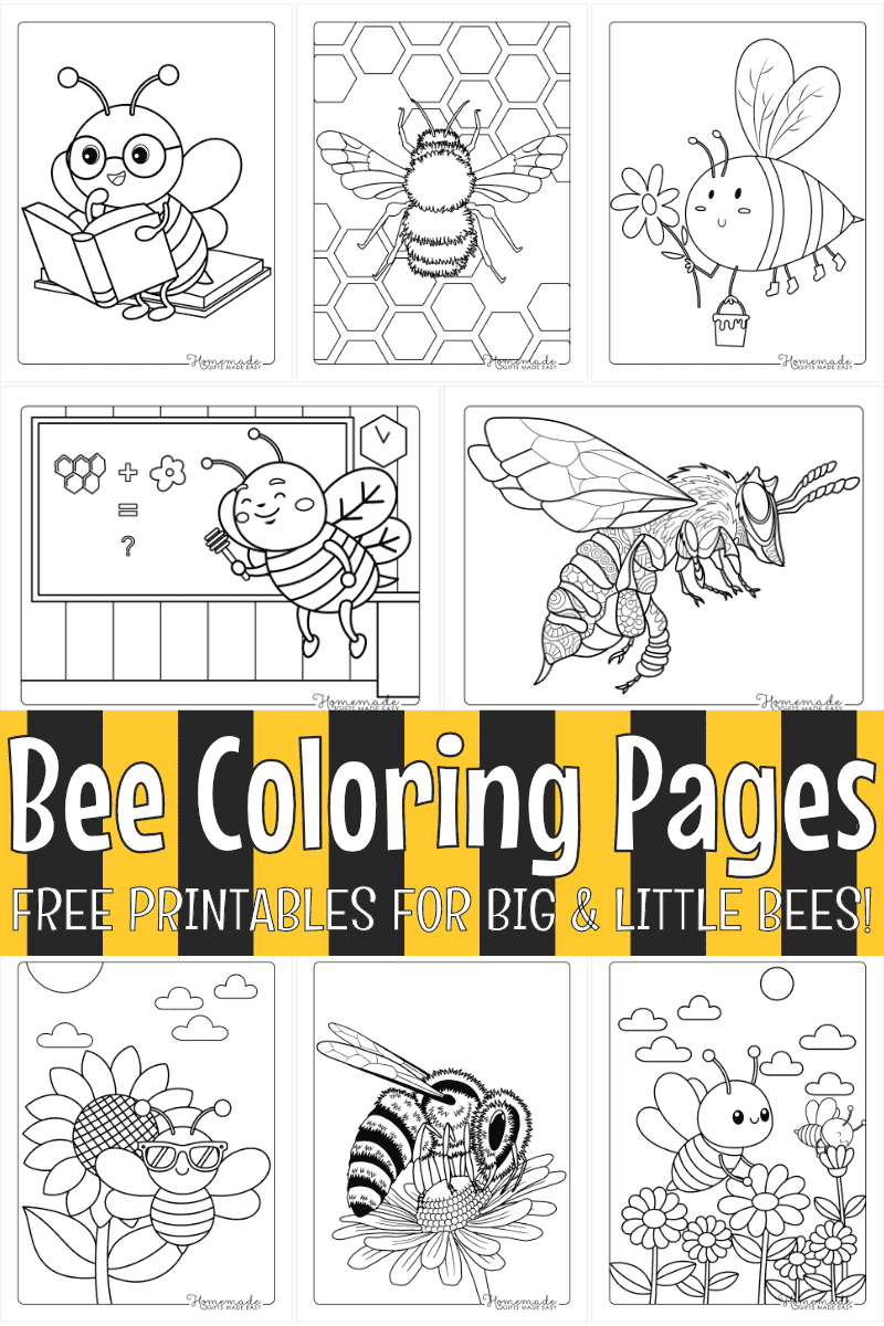 Free Printable Bee Coloring Pages for Kids and Adults