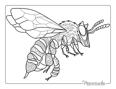 Bee Coloring Pages Realistic Bee Easy Zentangle for Adults