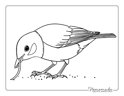 Bird Coloring Pages Cute American Robin Pulling Earthworm