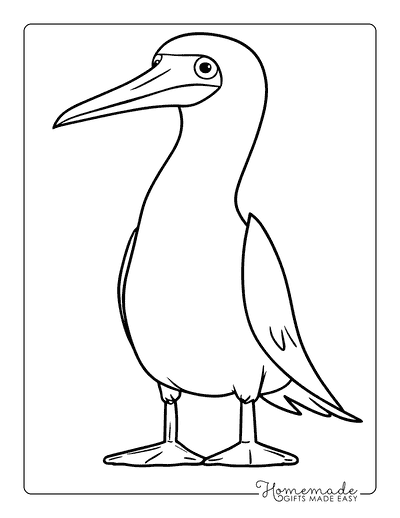 Bird Coloring Pages Cute Blue Footed Boobie