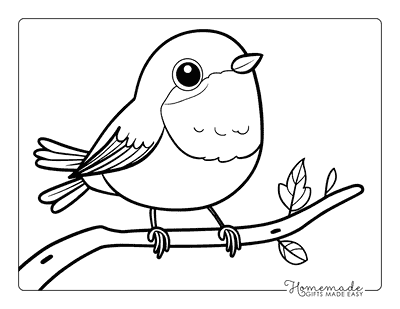 Bird Coloring Pages Cute European Robin on Branch