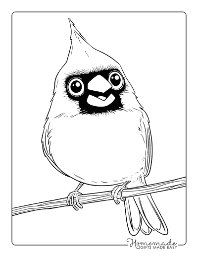 Bird Coloring Pages Cute Northern Cardinal on Branch