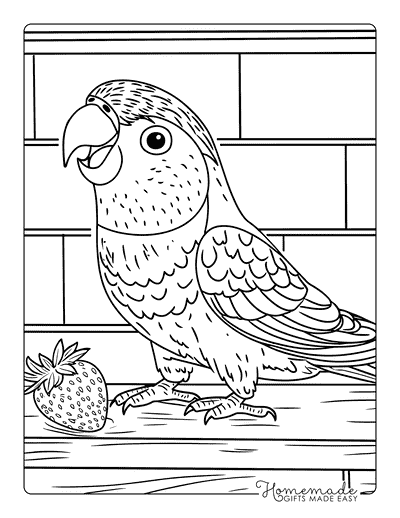 Bird Coloring Pages Cute Rainbow Lorikeet With Strawberry