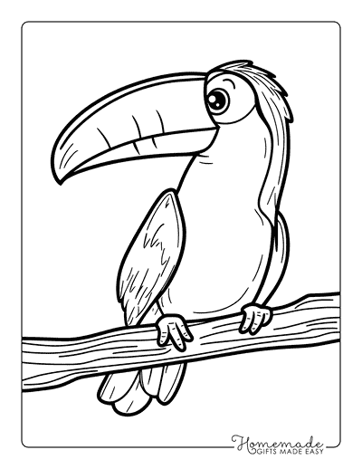 Bird Coloring Pages Cute Toucan on a Branch