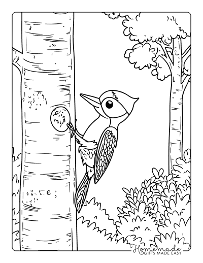 Bird Coloring Pages Cute Woodpecker on Tree