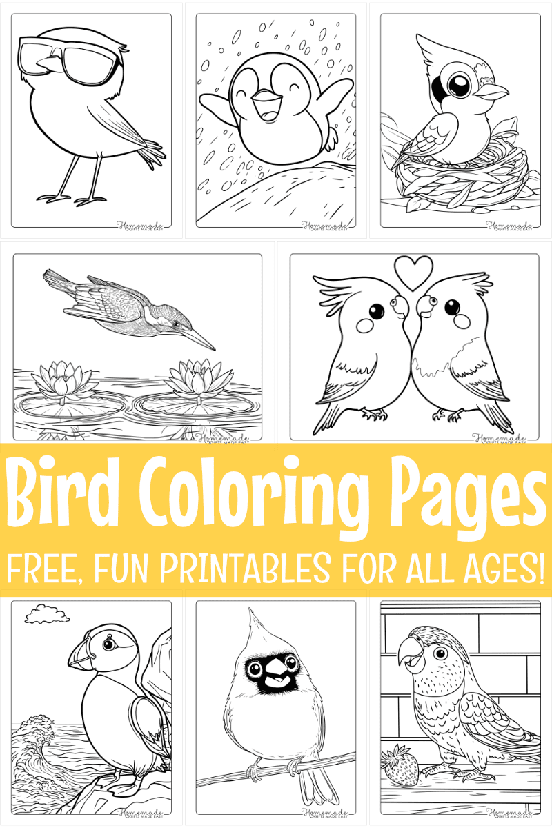 Free Printable Bird Coloring Pages for Teens and Adults