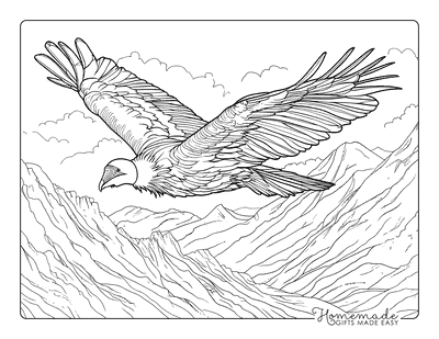 Bird Coloring Pages Realistic Andean Condor Gliding Above Mountains