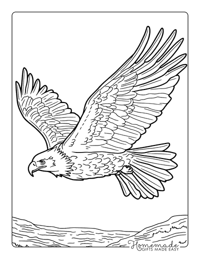 Bird Coloring Pages Realistic Bald Eagle for Teens