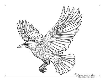 Bird Coloring Pages Realistic Crow in Flight