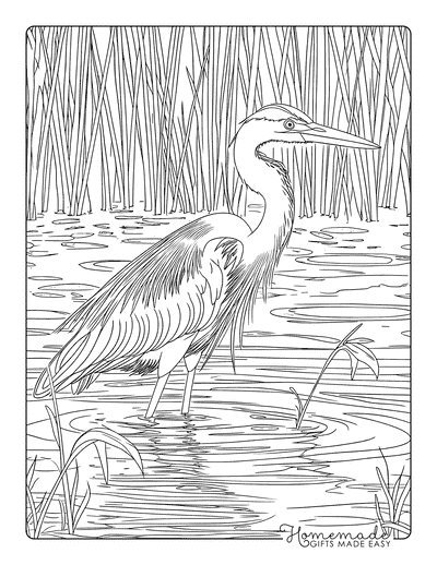 Bird Coloring Pages Realistic Great Blue Heron Standing in Water