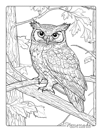 Bird Coloring Pages Realistic Great Horned Owl in Trees