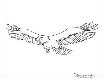 Bird Coloring Pages Simple Bald Eagle