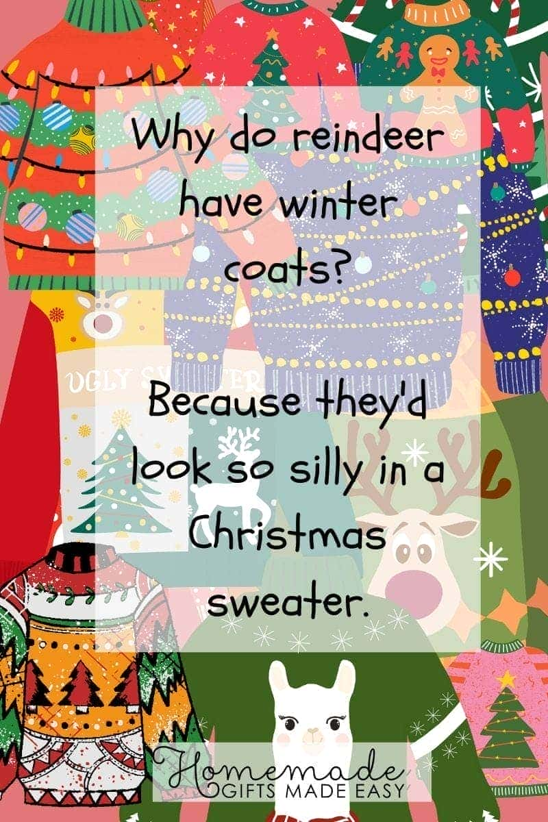 christmas jokes for kids reindeer look silly in christmas sweaters