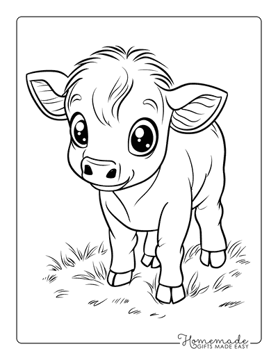 Cow Coloring Pages Cute Baby Cow