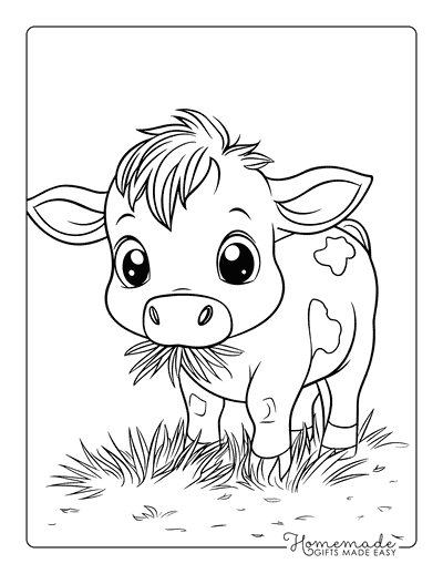 Cow Coloring Pages Cute Baby Cow Eating Grass