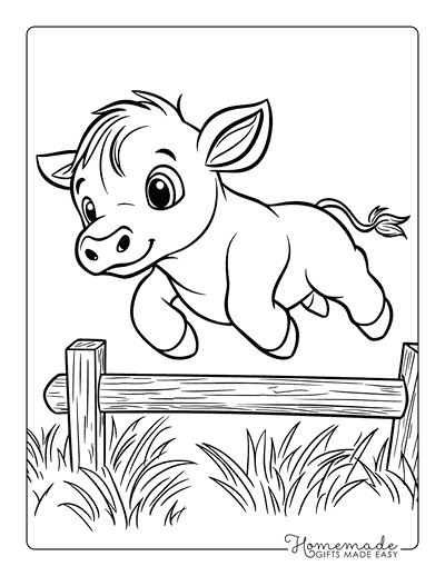 Cow Coloring Pages Cute Baby Cow Jumping Fence