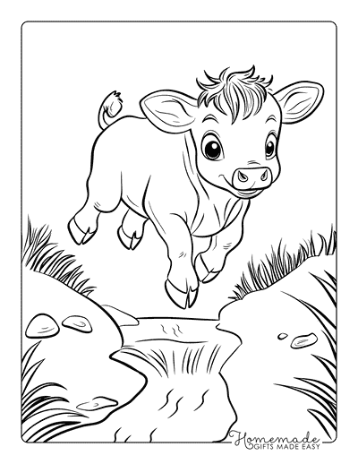 Cow Coloring Pages Cute Baby Cow Jumping Stream