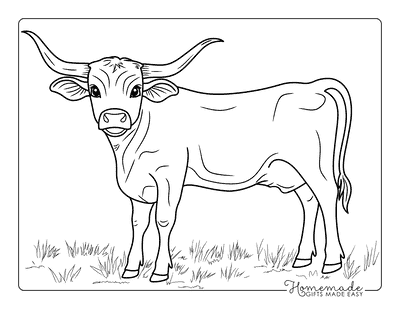 Cow Coloring Pages Cute Longhorn