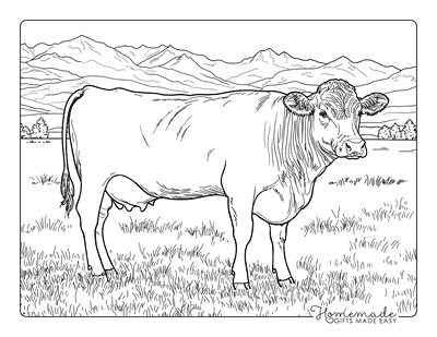 Cow Coloring Pages Realistic Cow in Mountainous Pasture