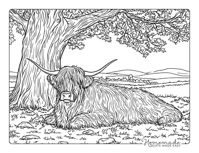 Cow Coloring Pages Realistic Highland Cow Resting Under Tree