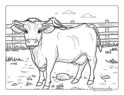 Cow Coloring Pages Semi Realistic Cow and Bird